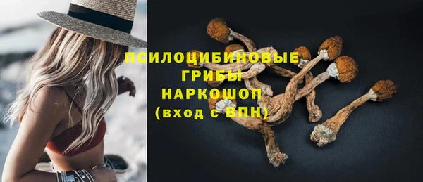 мяу мяу мука Балабаново