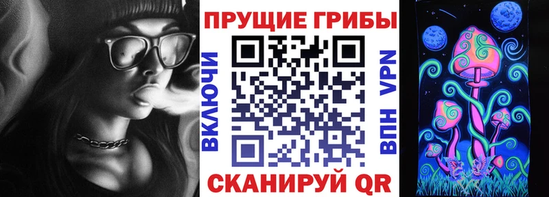 Псилоцибиновые грибы Cubensis  Купить  Алзамай 