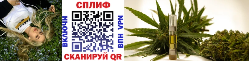 Шишки марихуана Bruce Banner  Купить где  Алзамай 